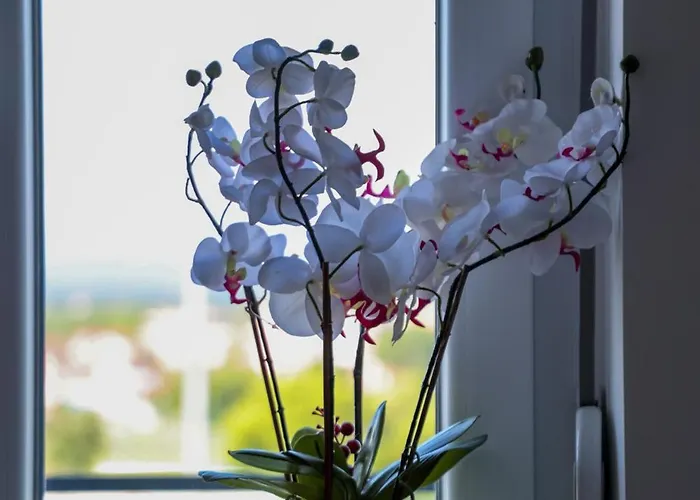 Vamos A La Playa Διαμέρισμα Jagodina